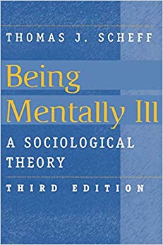 Being Mentally Ill (Social Problems and Social Issues)