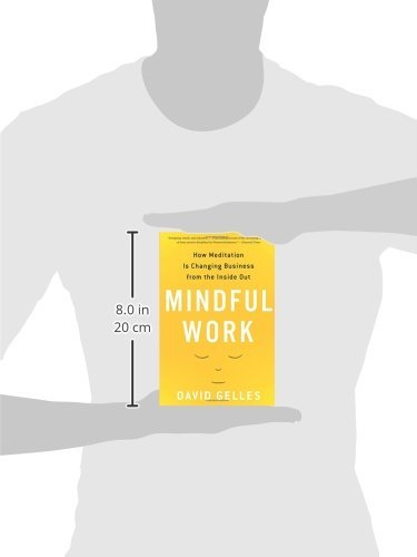 Mindful Work: How Meditation Is Changing Business from the Inside Out (Eamon Dolan)