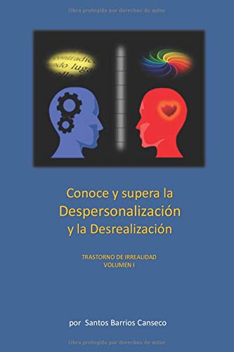 CONOCE Y SUPERA LA DESPERSONALIZACIÓN Y LA DESREALIZACIÓN: TRASTORNO DE IRREALIDAD (Spanish Edition)