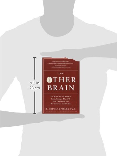 The Other Brain: The Scientific and Medical Breakthroughs That Will Heal Our Brains and Revolutionize Our Health