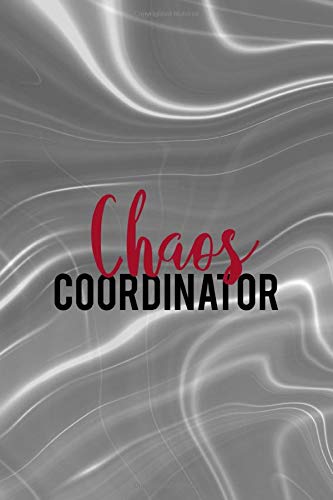 Chaos Coordinator: Notebook Journal Composition Blank Lined Diary Notepad 120 Pages Paperback Gray Aqua Chaos