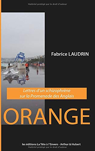 ORANGE: Lettres d'un schizophrène sur la Promenade des Anglais (French Edition)