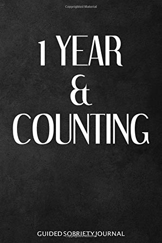 1 Year & Counting - Guided Sobriety Journal: Sobriety Gift for Men & Women, Self Help 4-Month Tracker for Alcoholism, Drug Addiction Recovery and Living Sober