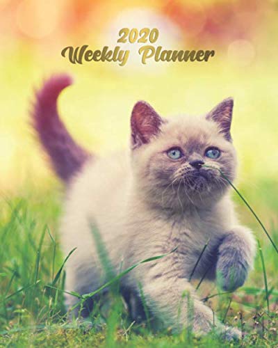 2020 Weekly Planner: Pretty 2020 Weekly Organizer & Schedule Agenda with Holidays, Inspirational Quotes, To-Do’s, Vision Boards & Notes - Cute Little ... Outdoor in the Grass - Crazy Cat Lady Gifts
