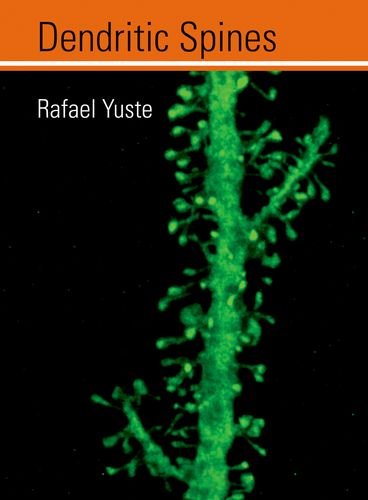 Dendritic Spines (The MIT Press)