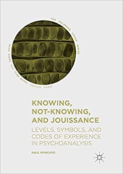 Knowing, Not-Knowing, and Jouissance: Levels, Symbols, and Codes of Experience in Psychoanalysis (The Palgrave Lacan Series)