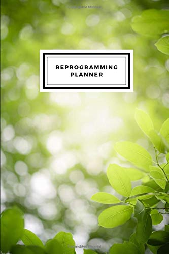 Reprogramming Planner: for 3 months