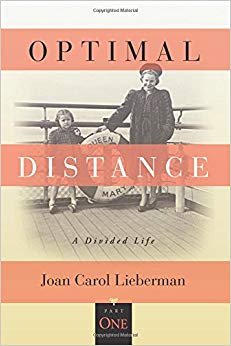 Optimal Distance: A Divided Life, Part One (Volume 1)