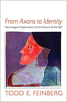 From Axons to Identity: Neurological Explorations of the Nature of the Self (Norton Series on Interpersonal Neurobiology)