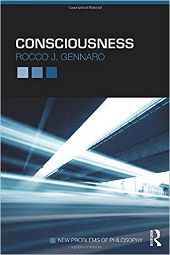 Consciousness (New Problems of Philosophy)