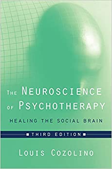 The Neuroscience of Psychotherapy: Healing the Social Brain (Third Edition) (Norton Series on Interpersonal Neurobiology)