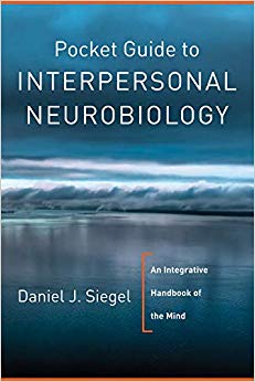 Pocket Guide to Interpersonal Neurobiology: An Integrative Handbook of the Mind (Norton Series on Interpersonal Neurobiology)