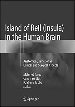 Island of Reil (Insula) in the Human Brain: Anatomical, Functional, Clinical and Surgical Aspects