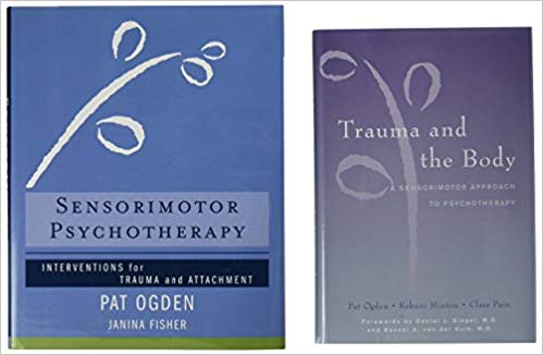 Trauma and the Body/Sensorimotor Psychotherapy Two-Book Set (Norton Series on Interpersonal Neurobiology)