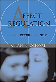 Affect Regulation and the Repair of the Self (Norton Series on Interpersonal Neurobiology)