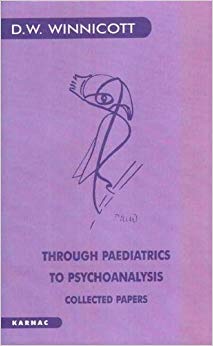 Through Paediatrics to Psychoanalysis: Collected Papers (Karnac Classics)