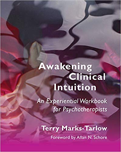 Awakening Clinical Intuition: An Experiential Workbook for Psychotherapists (Norton Series on Interpersonal Neurobiology)