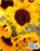notebook: Sunflower Cover 8" x 10" Lined Notebook journal 80 pages Matte Cover