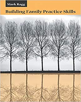 Building Family Practice Skills: Methods, Strategies, and Tools (Marital, Couple, & Family Counseling)