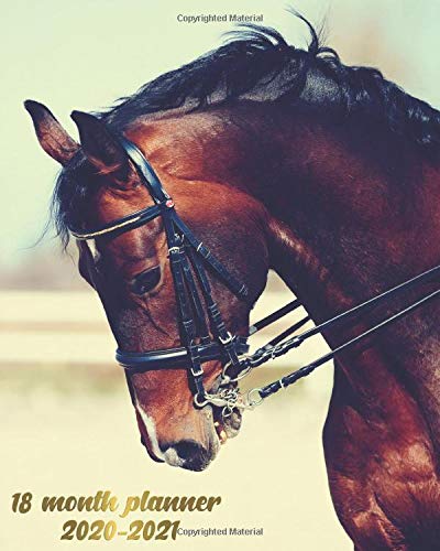 18 Month Planner 2020-2021: Cute Organizer with Weekly & Monthly Views | Agenda & Calendar with Inspirational Quotes, To Do's, Vision Boards & Notes | ... Thoroughbred Horse Love - Brown Stallion
