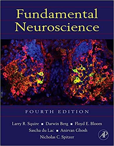 Fundamental Neuroscience (Squire,Fundamental Neuroscience)