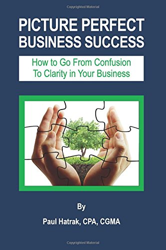 Picture Perfect Business Success: How to Go From Confusion To Clarity in Your Business