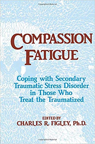 Compassion Fatigue (Brunner/Mazel Psychosocial Stress)