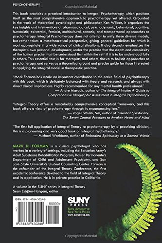 A Guide to Integral Psychotherapy: Complexity, Integration, and Spirituality in Practice (SUNY series in Integral Theory)