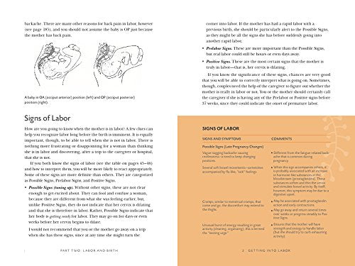Birth Partner 5th Edition: A Complete Guide to Childbirth for Dads, Partners, Doulas, and All Other Labor Companions