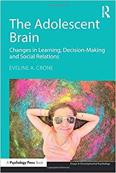 The Adolescent Brain (Essays in Developmental Psychology)