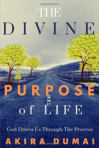 DIVINE PURPOSE OF LIFE:God Drives Us Through The Process