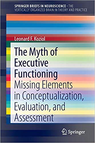 The Myth of Executive Functioning: Missing Elements in Conceptualization, Evaluation, and Assessment (SpringerBriefs in Neuroscience)