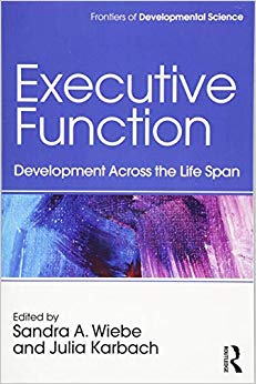 Executive Function (Frontiers of Developmental Science)