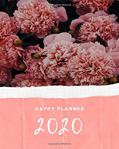 2020 Happy Planner: calendar weekly monthly journal diary