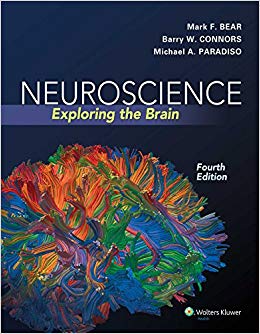 Neuroscience: Exploring the Brain Fourth, North Americ Edition by Bear PhD, Mark F., Connors PhD, Barry W., Paradiso PhD, Mich (2015) Hardcover