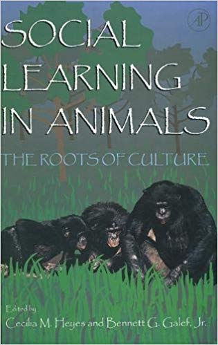 Social Learning In Animals: The Roots of Culture