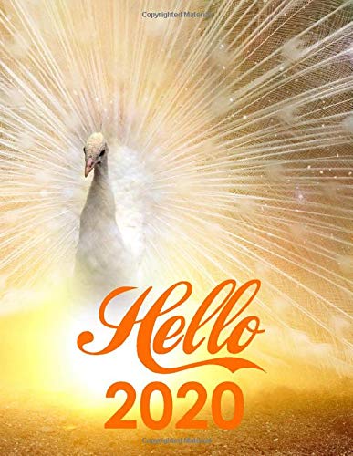 Hello 2020: 2020-2024 Planner 5 Year Planner With 60 Months Spread View Calendar, Cute Five Year Agenda, Schedule Notebook And Business Planner