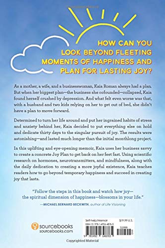 JOY PLAN: How I Took 30 Days to Stop Worrying, Quit Complaining, and Find Ridiculous Happiness