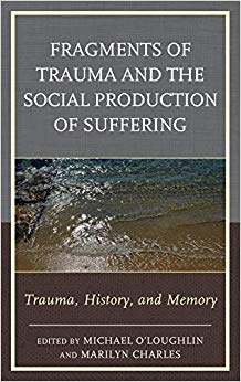 Fragments of Trauma and the Social Production of Suffering: Trauma, History, and Memory (New Imago)