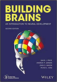 Building Brains: An Introduction to Neural Development (New York Academy of Sciences)
