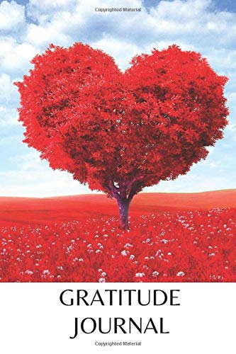Gratitude Journal: Positivity Diary | Fill your life with beauty, joy, and fulfillment  -100 pages to write in