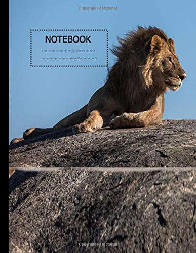 notebook: notebook: notebooks and journals, composition notebook, notebook