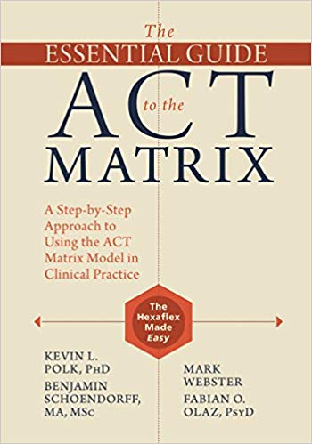The Essential Guide to the ACT Matrix: A Step-by-Step Approach to Using the ACT Matrix Model in Clinical Practice