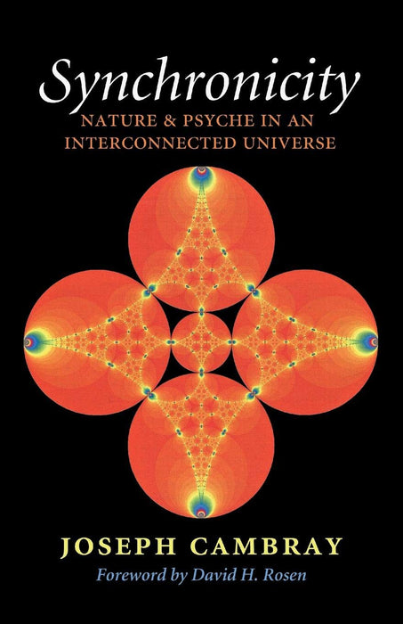 Synchronicity: Nature and Psyche in an Interconnected Universe (Carolyn and Ernest Fay Series in Analytical Psychology)
