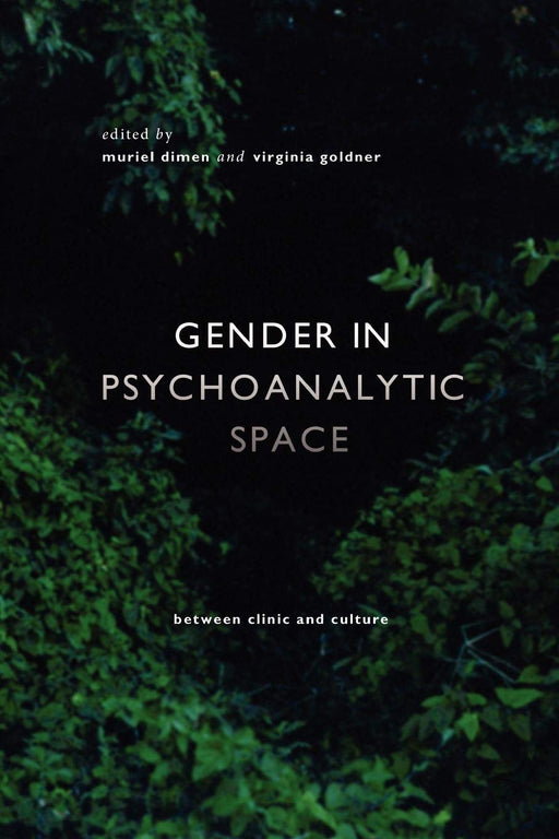 Gender in Psychoanalytic Space: Between clinic and culture (Conteporary Theory Series)