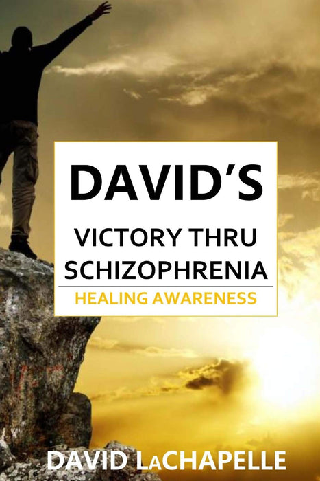 David's Victory Thru Schizophrenia: Healing Awareness