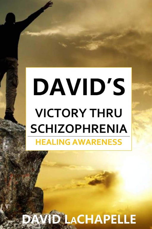 David's Victory Thru Schizophrenia: Healing Awareness
