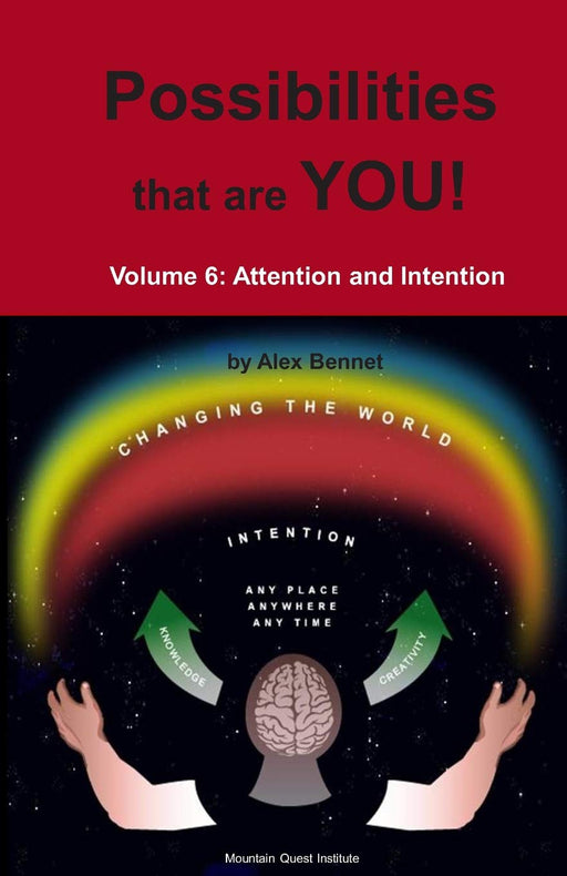 Possibilities that are YOU!: Volume 6: Attention and Intention