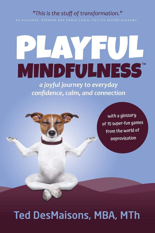 Playful Mindfulness: a joyful journey to everyday confidence, calm, and connection