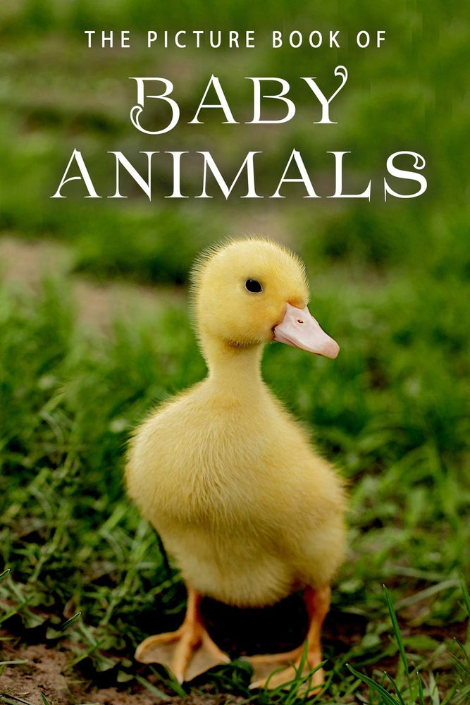 The Picture Book of Baby Animals: A Gift Book for Alzheimer's Patients and Seniors with Dementia (Picture Books)